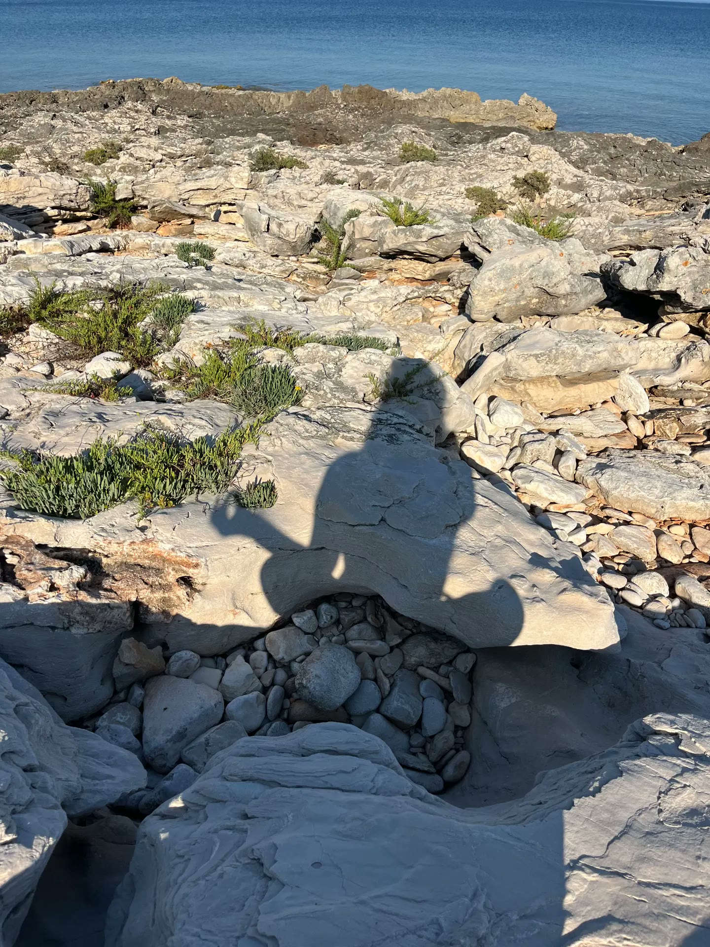 Rocky coastline by the sea at golden hour